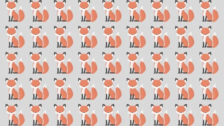 Observation Skills Test: Can you find the Odd Fox in 10 Seconds?