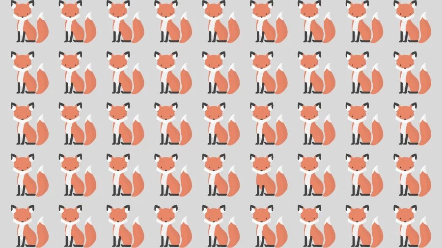 Observation Skills Test: Can you find the Odd Fox in 10 Seconds?