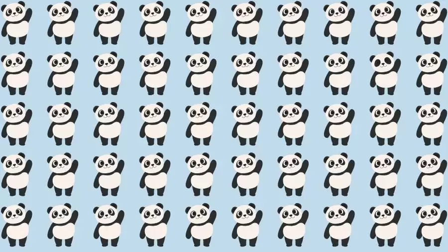 Observation Skills Test: Can you find the Odd Panda in 10 Seconds?