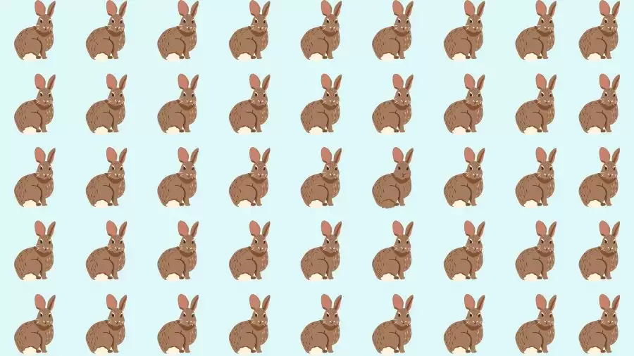 Observation Skills Test: Can you find the Odd Rabbit in 10 Seconds?