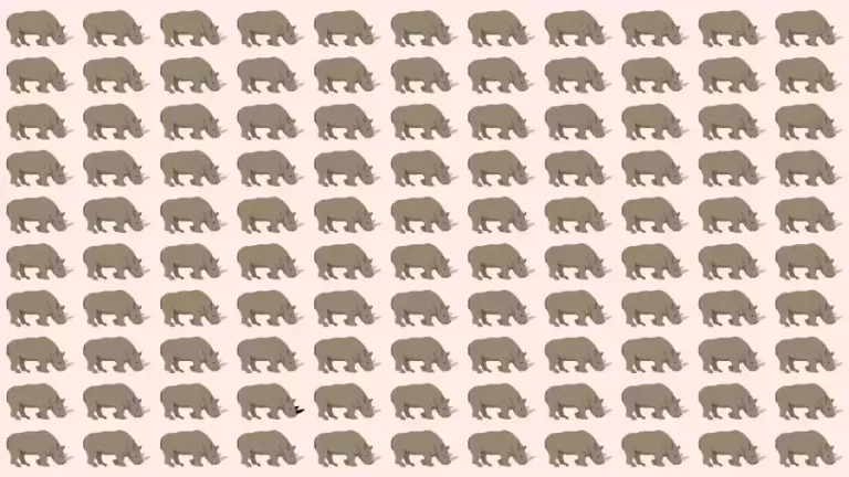 Observation Skills Test: Can you find the Odd Rhino in 10 Seconds?