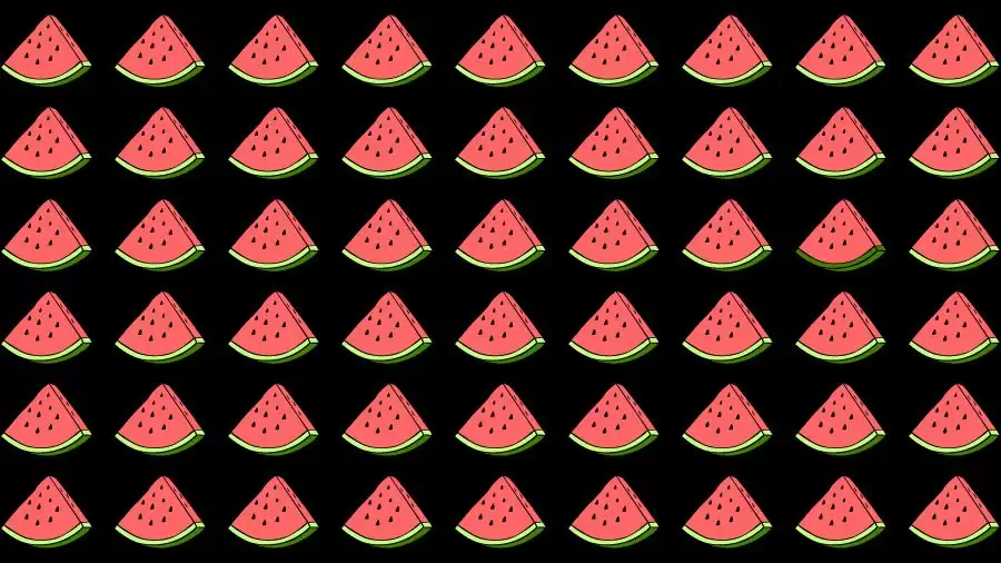 Observation Skills Test: Can you find the Odd Watermelon in 10 Seconds?