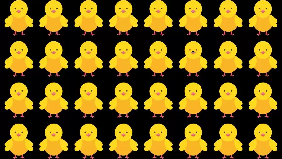 Observation Skills Test: Can you find the Odd chick in 10 Seconds?