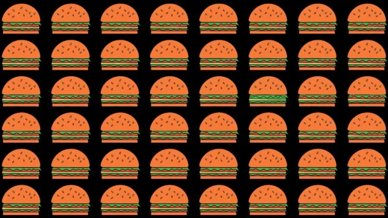 Observation Skills Test: Try to find the Odd Burger in this Image