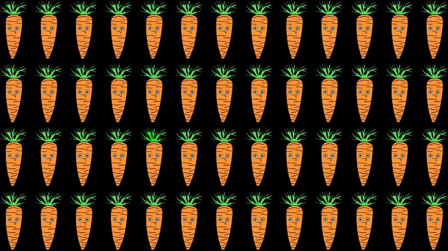 Observation Skills Test: Try to find the Odd Carrot in this Image