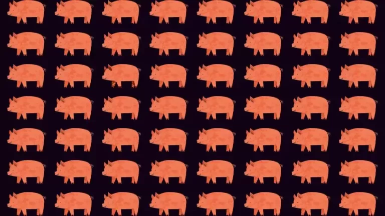 Observation Skills Test: Try to find the Odd Pig in this Image