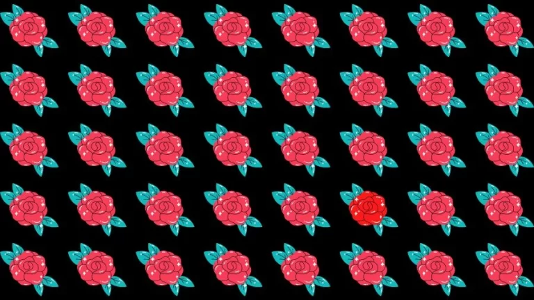 Observation Skills Test: Try to find the Odd Rose in this Image