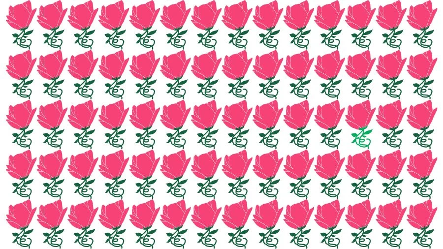 Optical Illusion Brain Challenge: Can you find the Odd Rose in 12 Seconds?