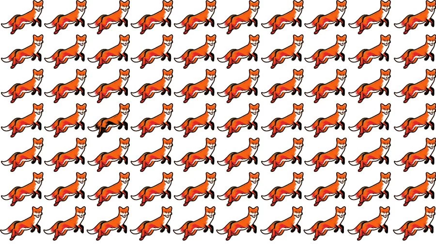 Optical Illusion Brain Challenge: If you have Eagle Eyes find the Odd Fox in 15 Seconds