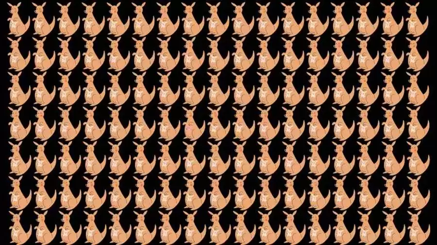 Optical Illusion: Can you find the Odd Kangaroo in 12 Seconds?