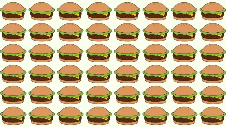 Optical Illusion Eye Test: Try to find the Odd Burger in this Image