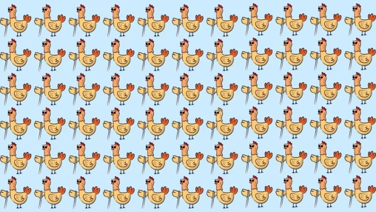 Optical Illusion Eye Test: Try to find the Odd Hen in this Image