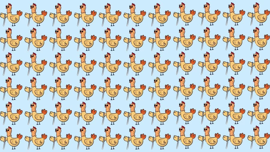 Optical Illusion Eye Test: Try to find the Odd Hen in this Image