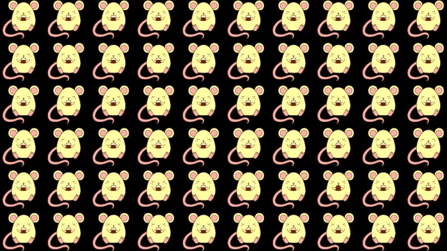 Optical Illusion Eye Test: Try to find the Odd Rat in this Image