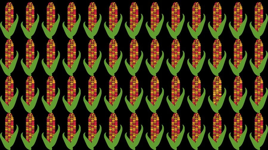 Optical Illusion Eye Test:Can you find the Odd Corn in 20 Seconds?