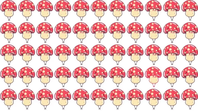 Optical Illusion Eye Test:Can you find the Odd Mushroom in 20 Seconds?