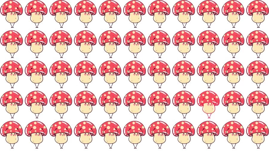 Optical Illusion Eye Test:Can you find the Odd Mushroom in 20 Seconds?