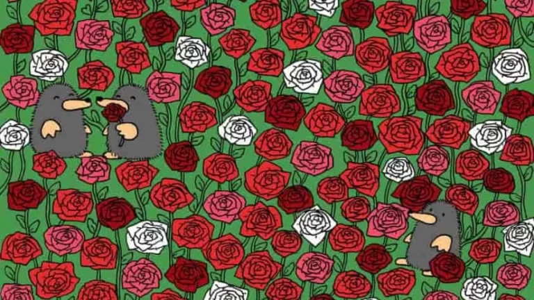 Optical Illusion Visual Challenge: If You Have Hawk Eyes Find 3 Hearts among Roses in 15 Seconds