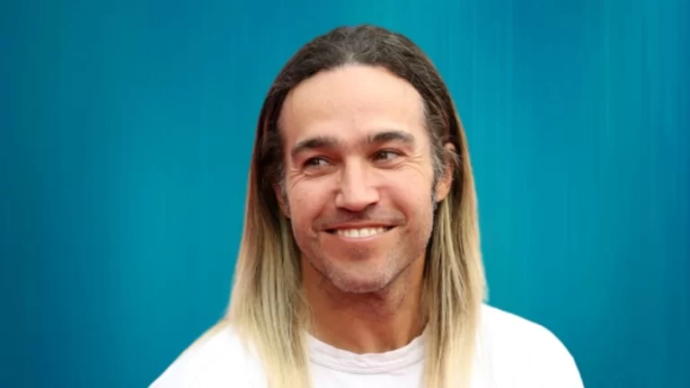 Pete Wentz Girlfriend 2023, Who is Meagan Camper?