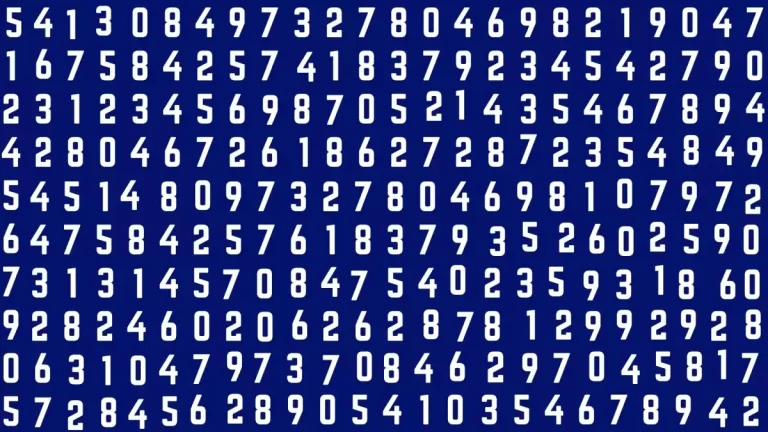 Quick-Thinker’s Challenge Find the Hidden Number 506 in Just 10 Secs