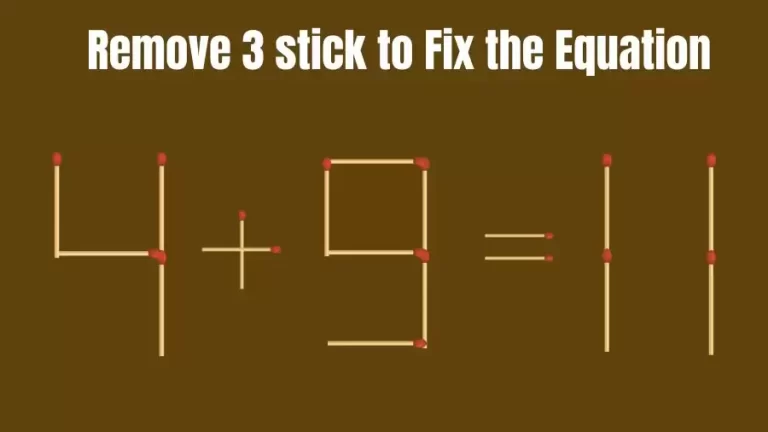 Remove 3 Sticks to Make the Equation Right | Brain Teaser Matchstick Puzzles