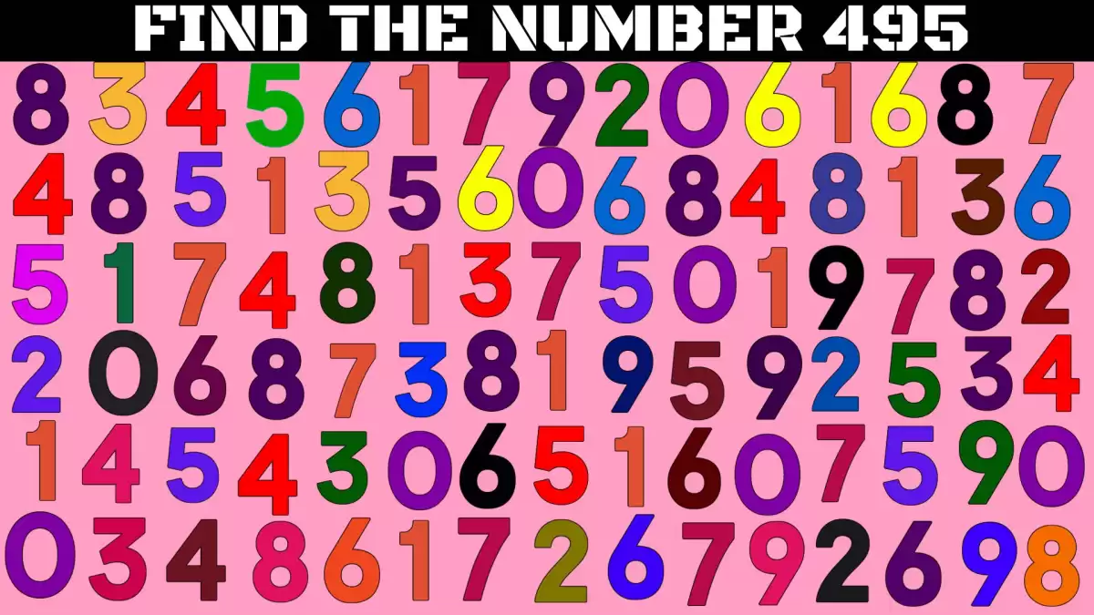 Test Your Lateral Thinking Skills Find the Number 495 in 10 Seconds