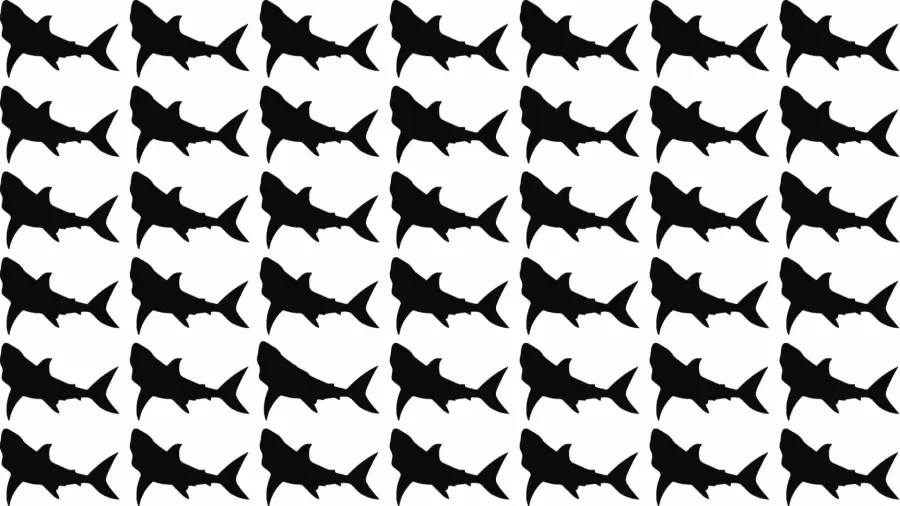 Thinking Test: Can you Spot the odd Fish in 10 Secs