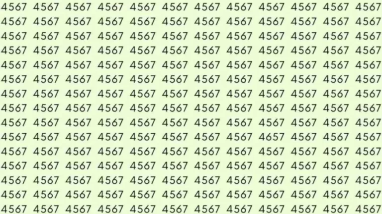 Observation Skills Test: If you have Eagle Eyes Find the number 4657 among 4567 in 6 Seconds?