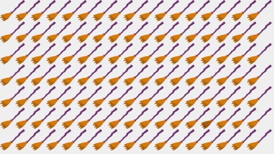 Optical Illusion: If you have Eagle Eyes find the Odd Broomstick in 12 Seconds