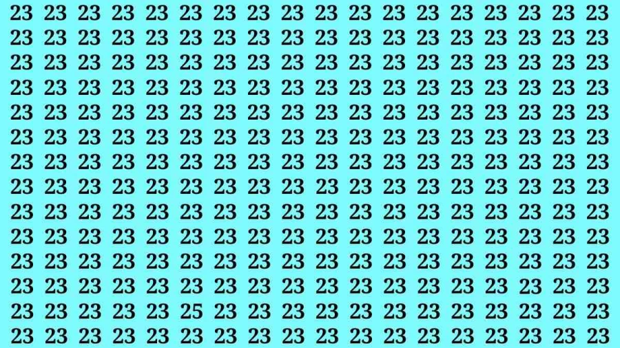 Observation Brain Test: If you have Keen Eyes Find the Number 25 among 23 in 15 Secs