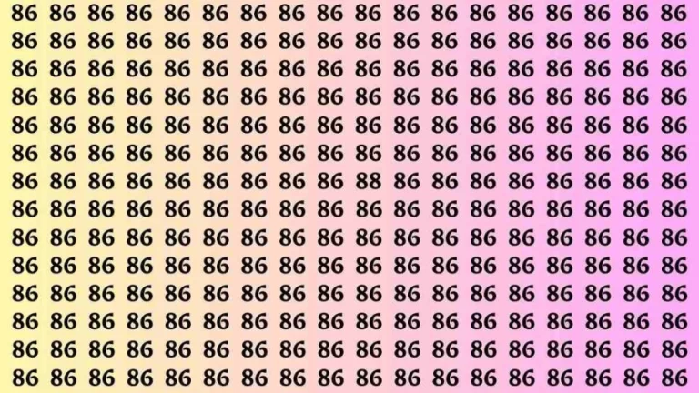 Observation Brain Test: If you have Hawk Eyes Find the Number 88 among 86 in 15 Secs