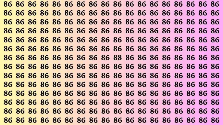 Observation Brain Test: If you have Hawk Eyes Find the Number 88 among 86 in 15 Secs