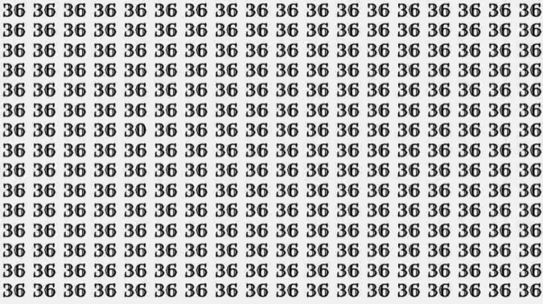 Optical Illusion Test: If you have Hawk Eyes Find the number 30 among 36 in 7 Seconds?