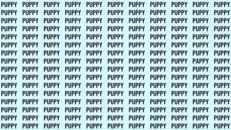 Observation Skill Test: If you have Eagle Eyes find the Word Pappy among Puppy in 12 Secs