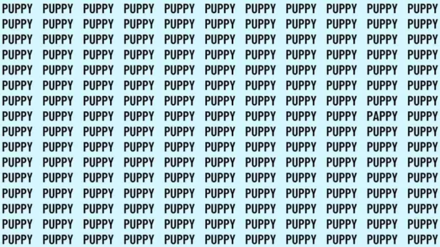 Observation Skill Test: If you have Eagle Eyes find the Word Pappy among Puppy in 12 Secs