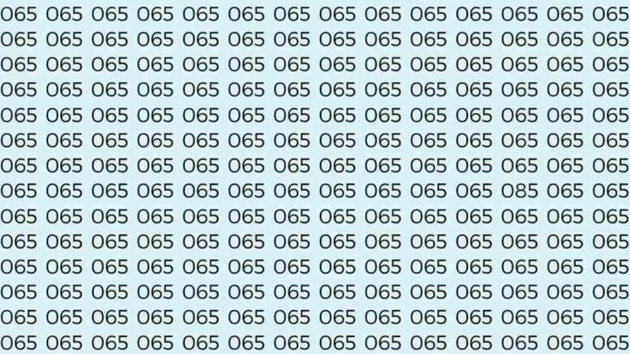 Observation Skills Test: If you have Sharp Eyes find the number 085 among 065 in 7 Seconds