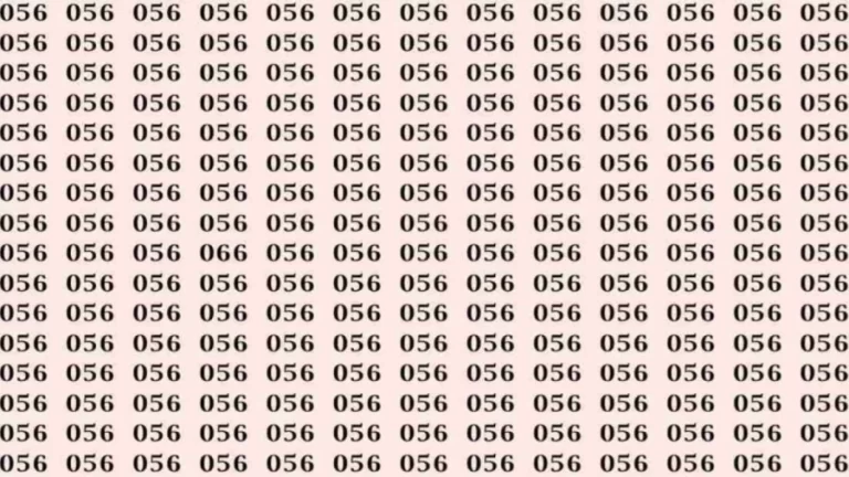 Observation Skills Test: If you have Sharp Eyes find the number 066 among 056 in 8 Seconds