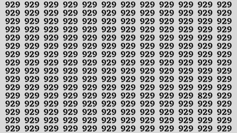 Observation Brain Test: If you have Keen Eyes Find the Number 829 among 929 in 15 Secs