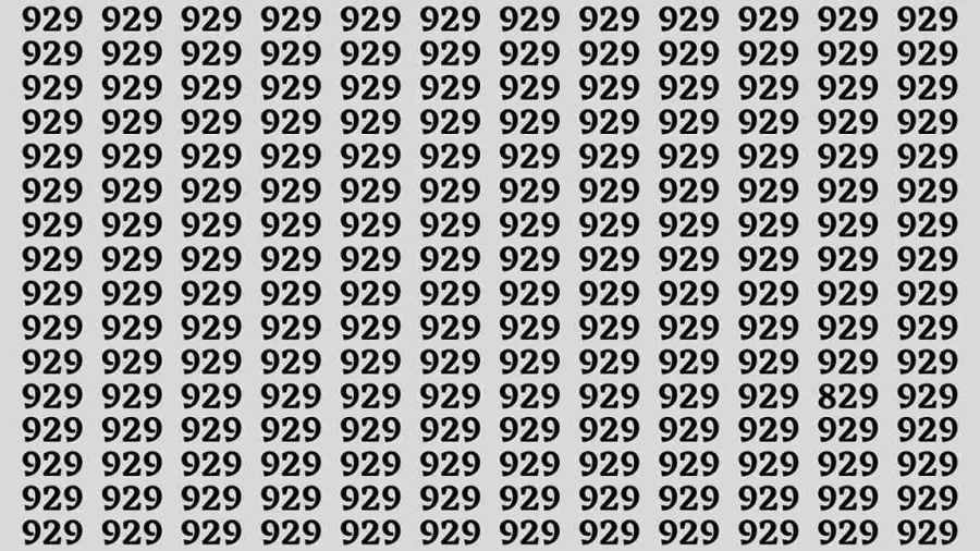 Observation Brain Test: If you have Keen Eyes Find the Number 829 among 929 in 15 Secs