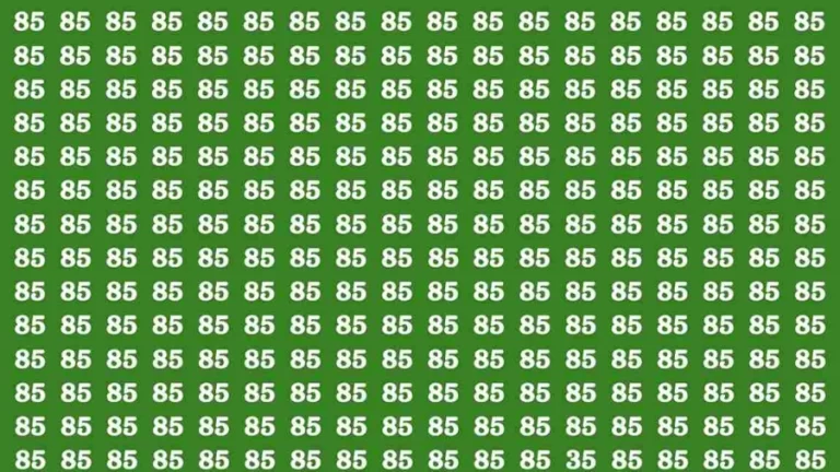 Observation Brain Test: If you have Eagle Eyes Find the number 35 in 10 Secs