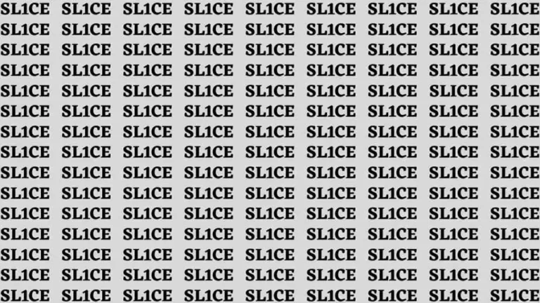 Brain Test: If you have Sharp Eyes Find the Word Slice in 20 Secs