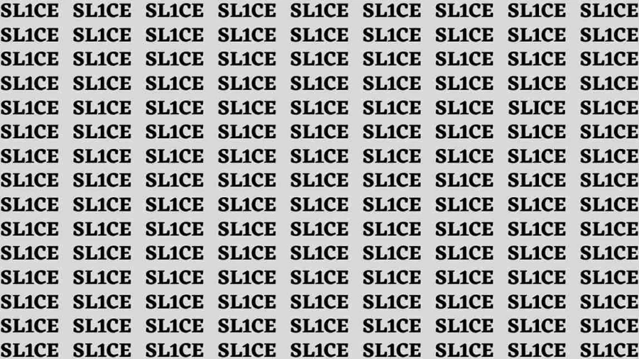 Brain Test: If you have Sharp Eyes Find the Word Slice in 20 Secs