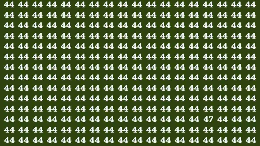 Observation Brain Test: If you have Keen Eyes Find the Number 47 in 15 Secs