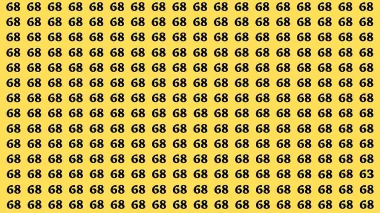 Observation Brain Test: If you have Eagle Eyes Find the Number 63 among 68 in 12 Secs