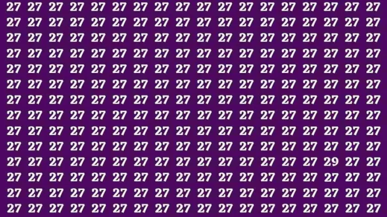 Observation Brain Test: If you have Hawk Eyes Find the Number 29 among 27 in 15 Secs