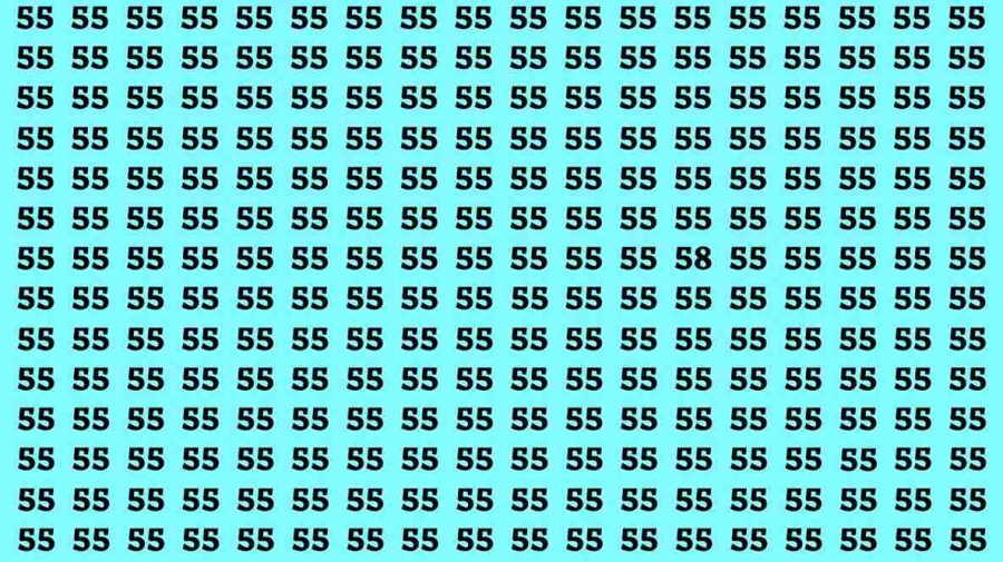 Brain Test: If you have Eagle Eyes Find the Number 58 among 55 in 15 Secs