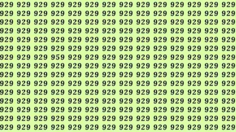 Optical Illusion Challenge: If you have Hawk Eyes Find the number 959 among 929 in 7 Seconds?