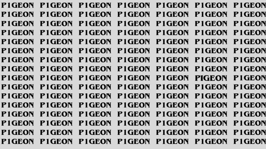 Observation Brain Test: If you have Hawk Eyes Find the Word Pigeon in 15 Secs