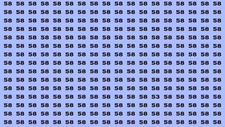 Observation Brain Test: If you have Keen Eyes Find the Number 53 among 58 in 15 Secs