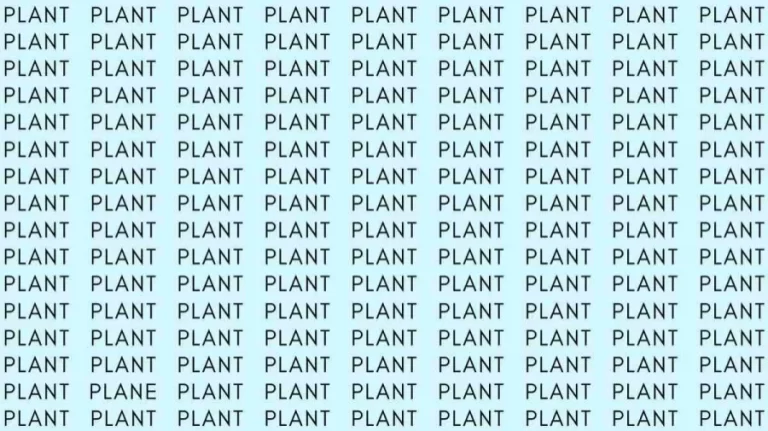 Optical Illusion Brain Test: If you have Eagle Eyes find the word Plane among Plant in 10 Secs